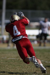 八戒官网-五大联赛球队助攻构成比例是否趋向边路主导，五大联赛历史进球助攻榜  第2张